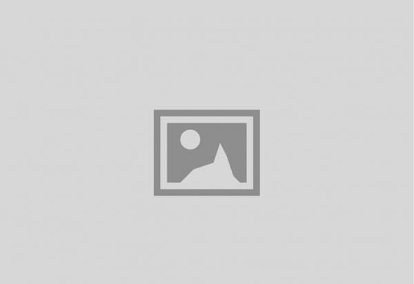 WDesignKit Gutenberg