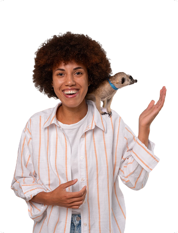 Pet groomer 2